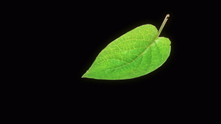 年轻人扎堆乡镇公务员 比港大硕士香